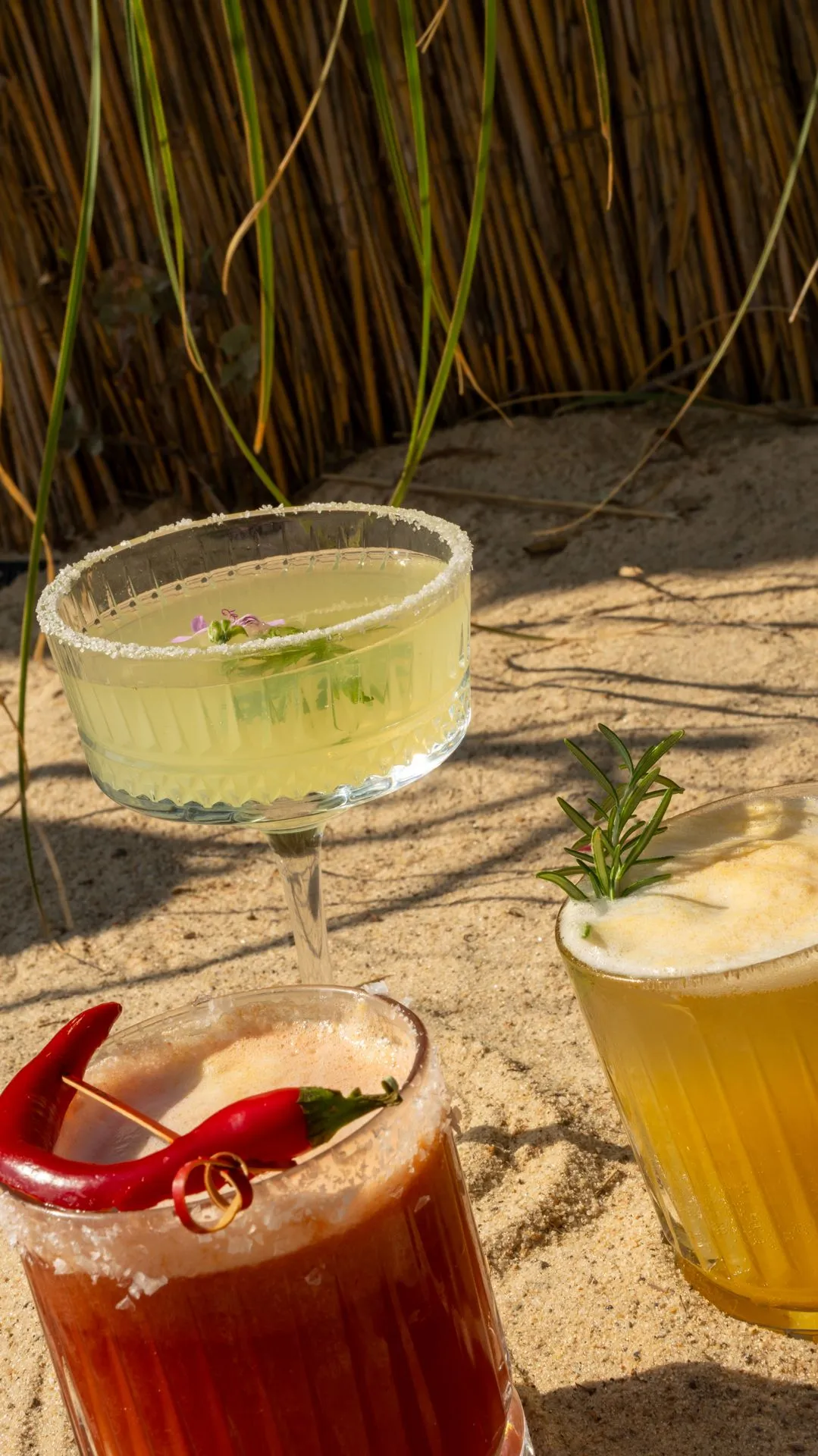 Drei Cocktails im Sand: ein roter mit Chili, ein hellgrüner mit Blüte und ein gelber mit Rosmarin; dahinter ein Schilfzaun